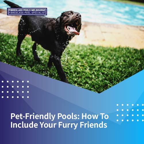 pet-friendly-pools-how-to-include-your-furry-friends-featureimage