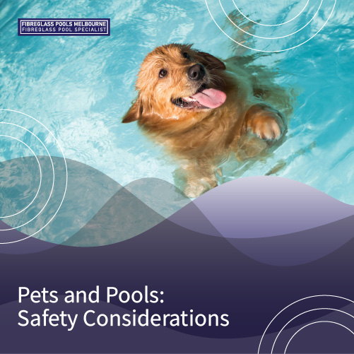 pets-and-pools-safety-considerations-featuredimage