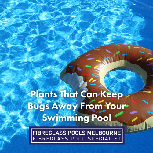 Plants That Can Keep Bugs Away From Your Swimming Pool Melbourne