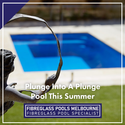 plunge-into-a-plunge-pool-this-summer-featuredimage