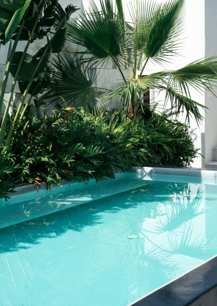 stunning-ideas-for-a-poolside-landscape-redesign-blogimage2-m