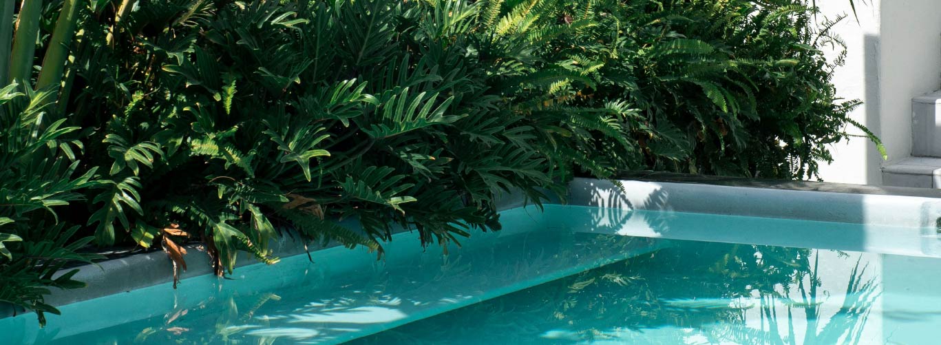 stunning-ideas-for-a-poolside-landscape-redesign-blogimage2