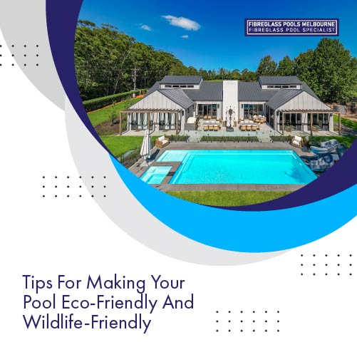 tips-for-making-your-pool-eco-friendly-and-wildlife-friendly-featureimage